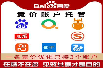 百度竞价推广运营策略：成功案例解析